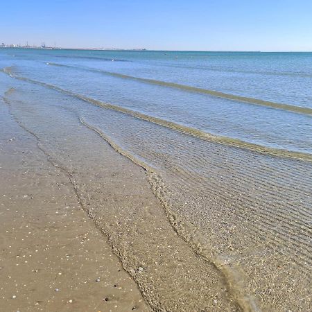 Vladimir Residence Mamaia Nord ナボダリ エクステリア 写真