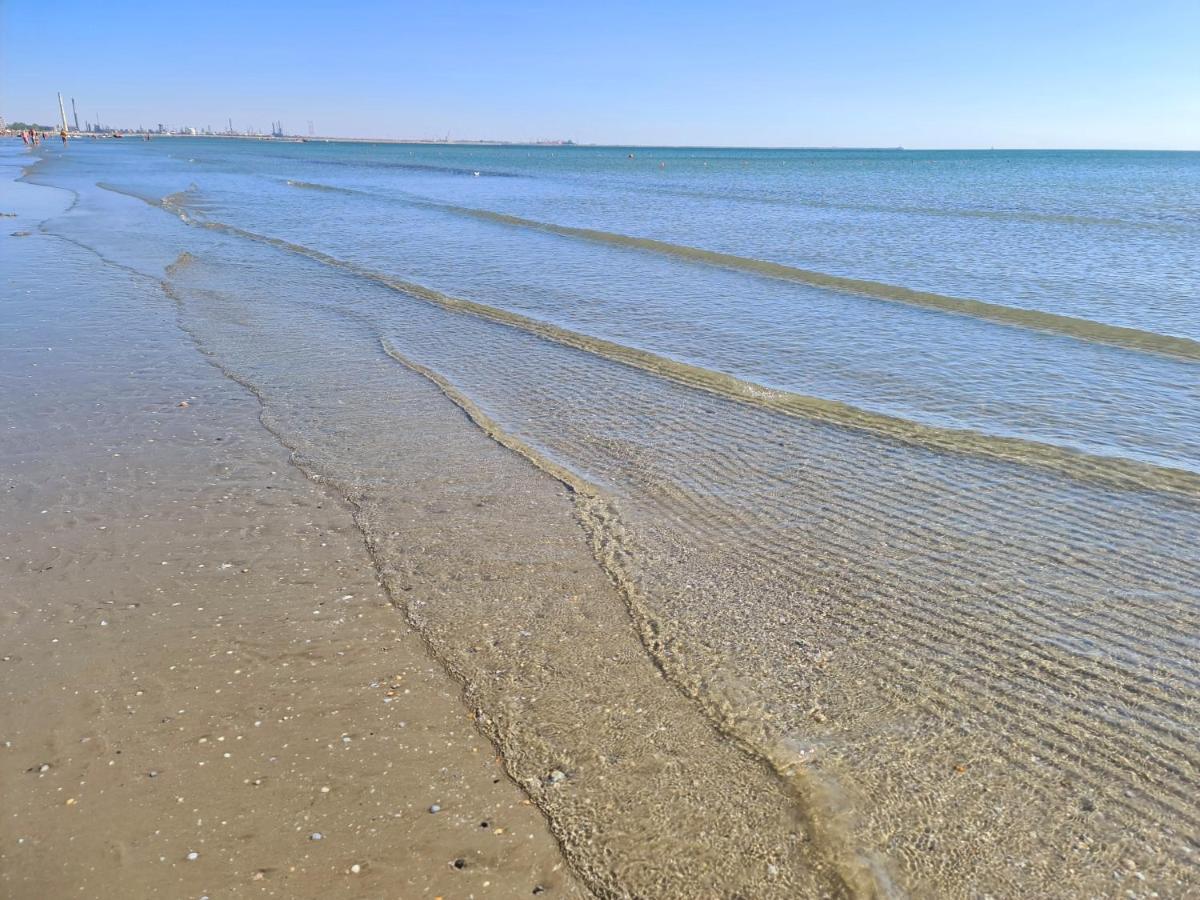 Vladimir Residence Mamaia Nord ナボダリ エクステリア 写真