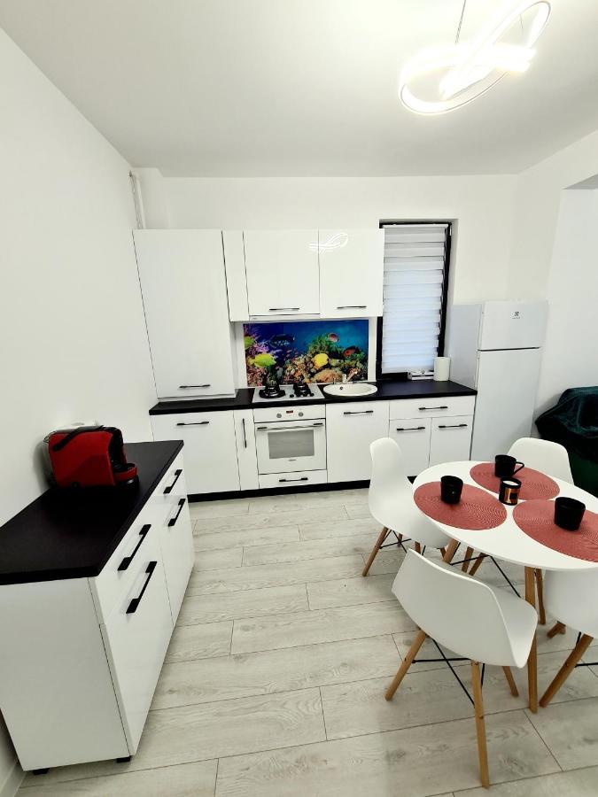 Vladimir Residence Mamaia Nord ナボダリ エクステリア 写真